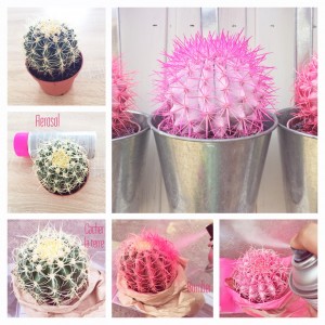 ColorfulCactusEtapes